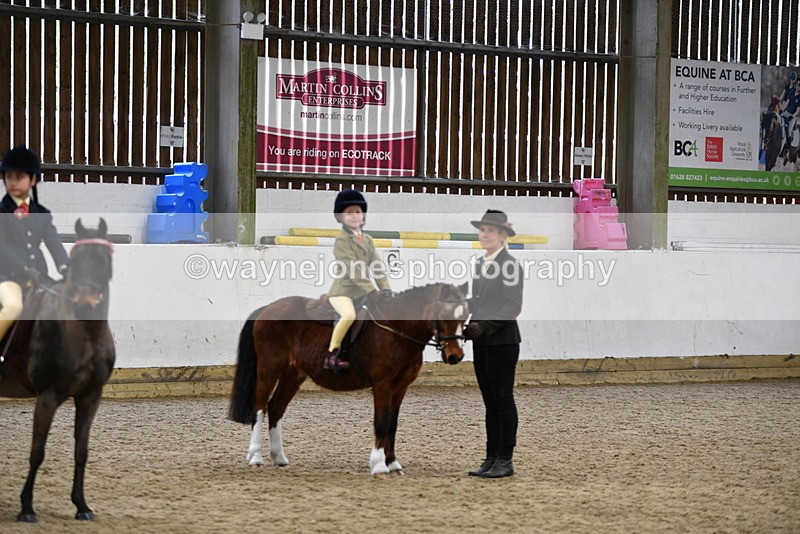 WJ5_7064 - Class 10 Childs Pony