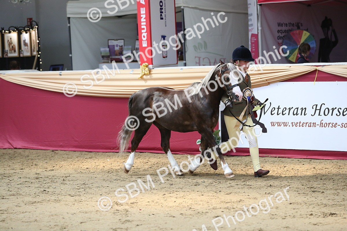 SBM_04493 - Class 7R Regional - IH Diamond
