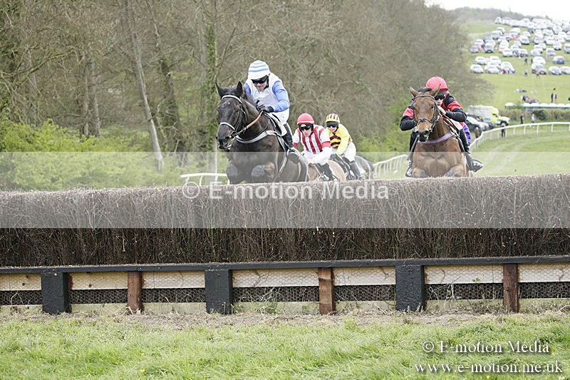 PtP 170417 447 - Old Berks Point-to-Point Lockinge 17/04/17