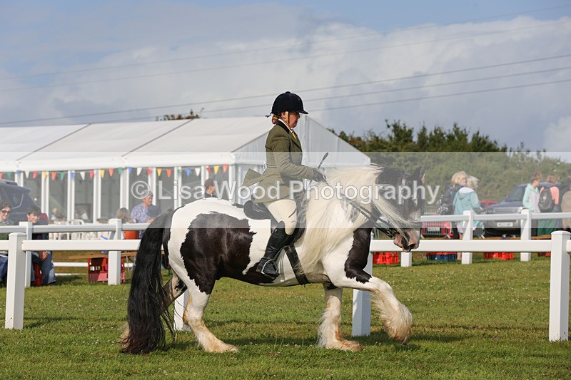 1X9A3265 - Class 28: Ridden Native/Trad Coloured Pony