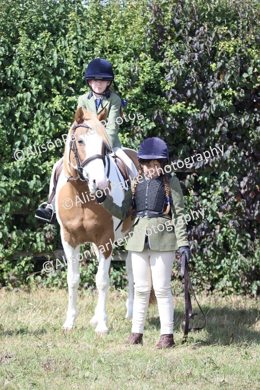 20250831-2511 - Class 16 - Family Pony