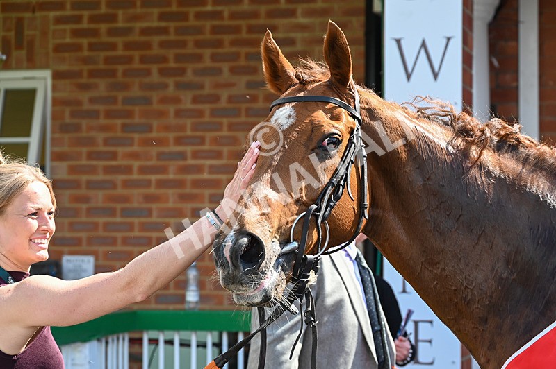 020526-Race 3-Mirsky-9644 - Race 3 2.40pm Sky Bet Thirsk Hunt Cup Handicap