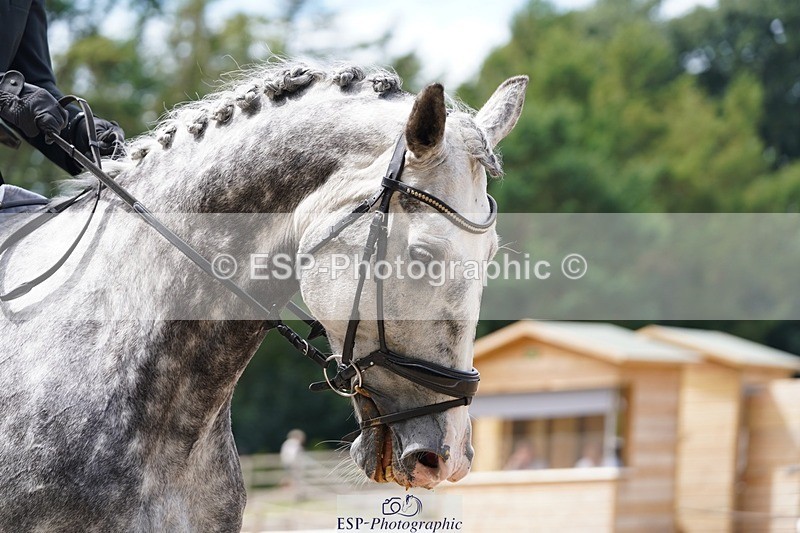 240721-121022-08185 - 151-Dave_Jones-Lakota_Aloca