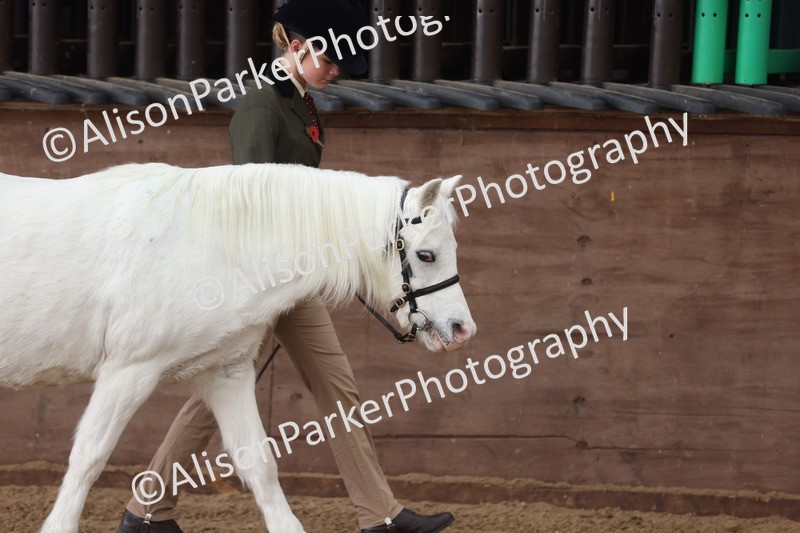 20251109-0550 - Class 21 - Mares 4 Years and over