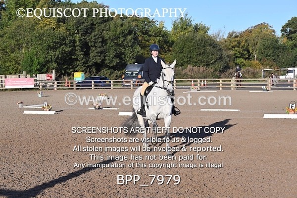BPP_7979 - LONG ARENA
