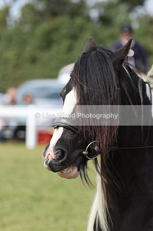 JPP_1525 - Class 17: Cornish Combination Open