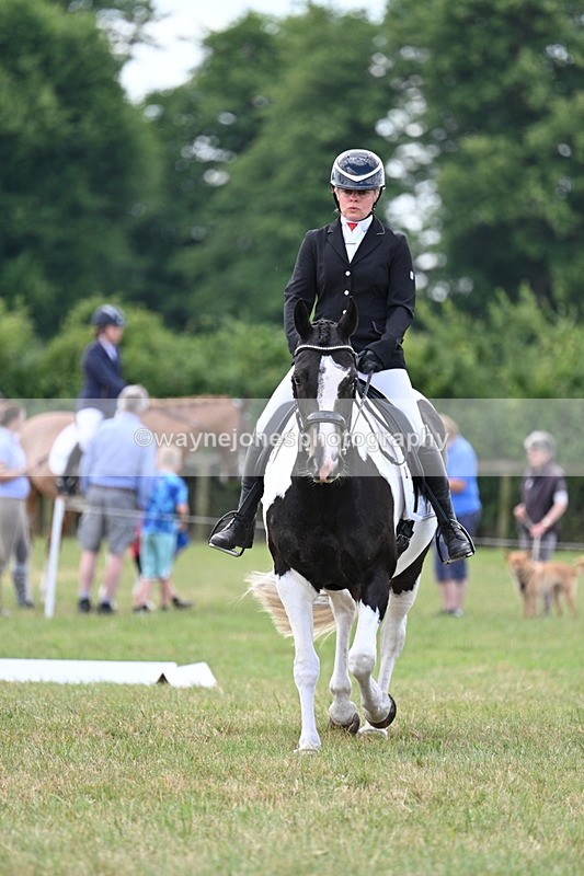 WJ7_5209 - Time 11:22 to 11:51