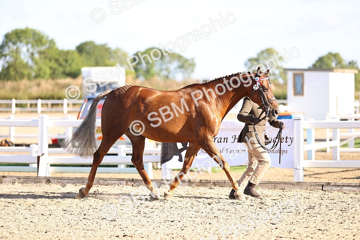 SBM_08442 - Class 402 - IH Veteran Pony