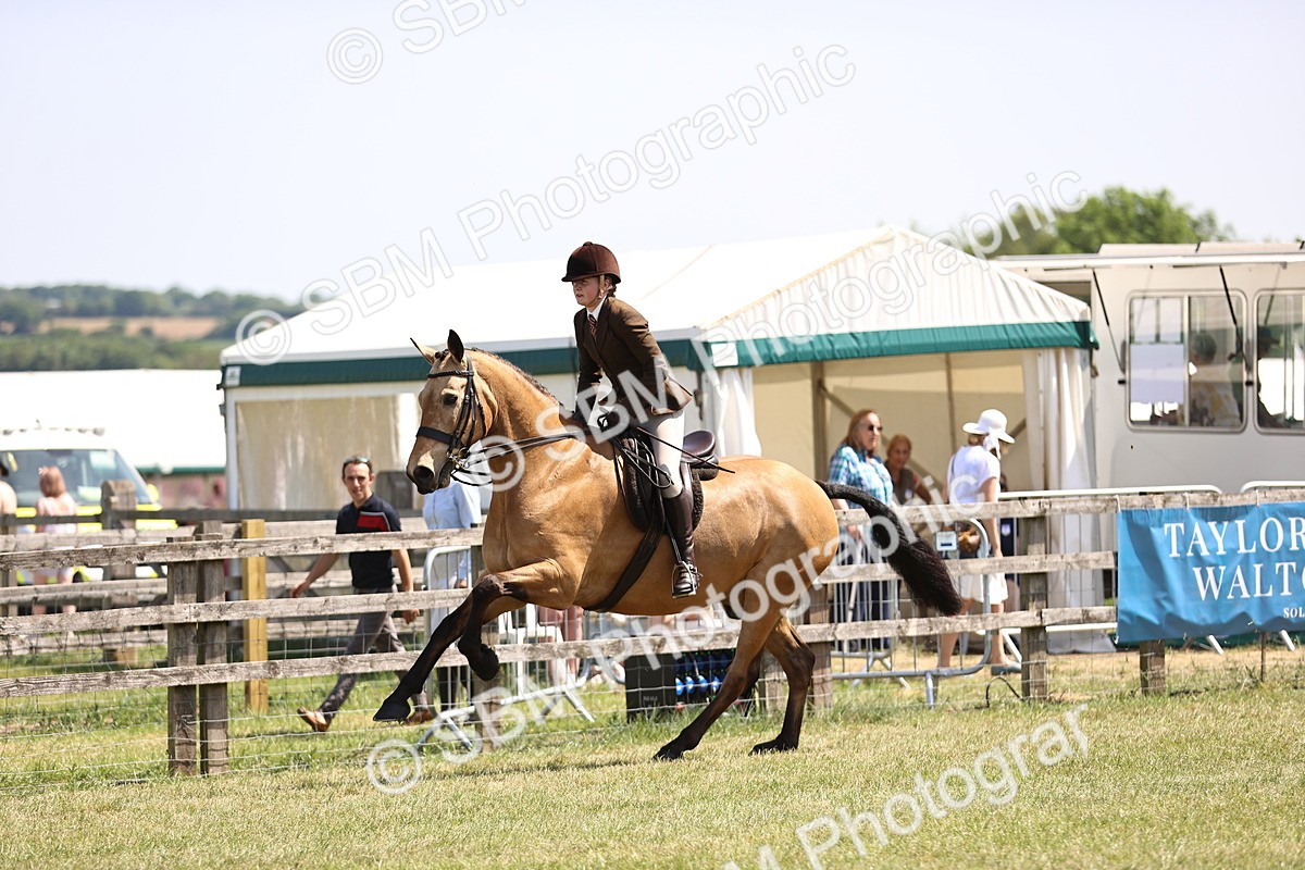 SBM_15132 - Class 79-80 - LIHS BSHA Rising Star Ridden Hunter