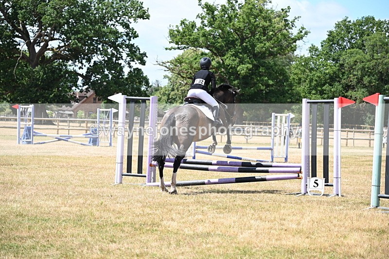 WJ6_5595 - Class 13 Novice 60cm