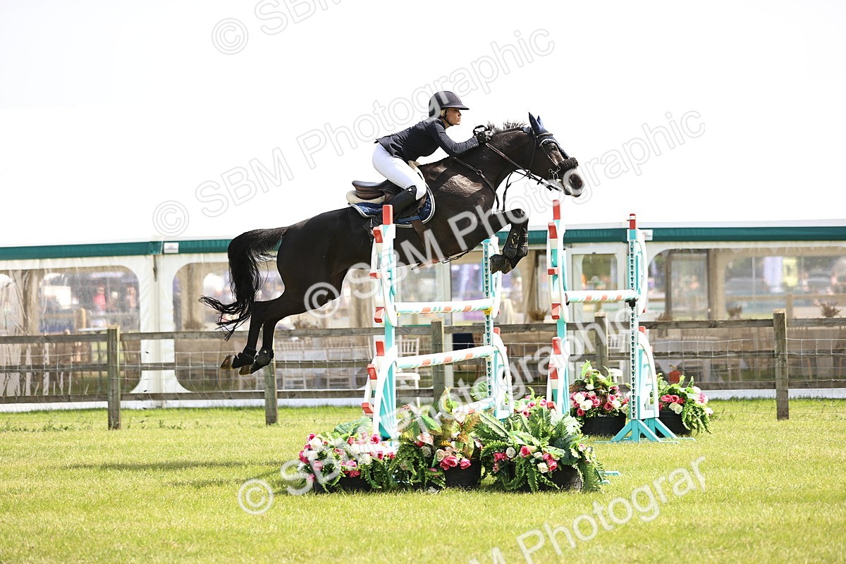 SBM_03065 - Class 201 - British Horse Feedds Speedi Beet HOYS Grade C