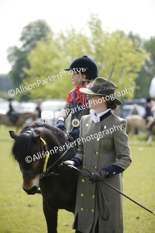 20260426-1893 - Class 7 - Pony Judge Would Most Like To Take Home