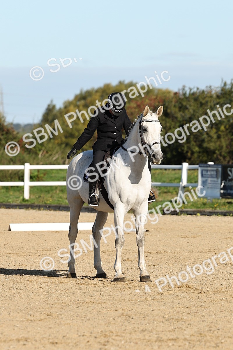 SBM_003119 - Class 66 - Intro 3