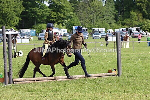 IMG_2157 - Working Hunter