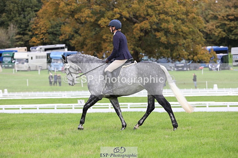 251023A-113034-03343 - D-314-Alice.Tollworthy