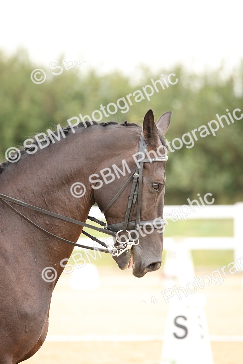 SBM_019262 - Class 22 - Medium 73 - 9.24-10.12