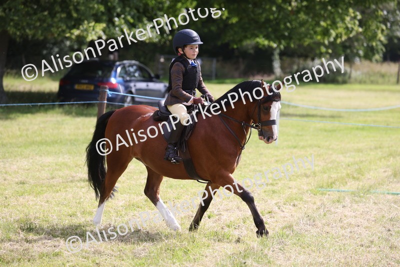 20260614-0497 - Class 20 - Beginners Working Hunter Pony