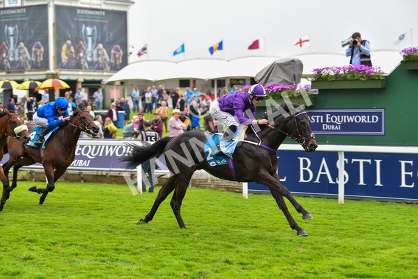 180523-Race 6-Cuban Thunder-9873 - Race 6 4.45pm Frank Whittle Partnership ebfstallions.com Maiden Stakes