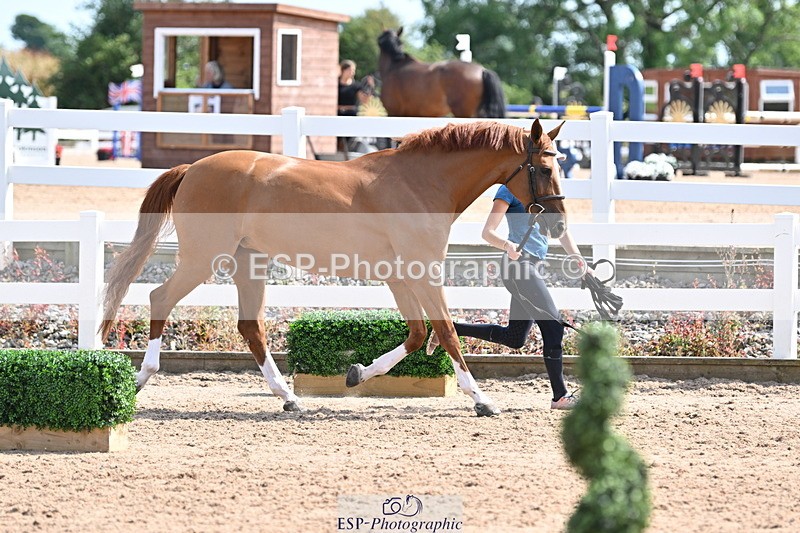 240717A-154051-02974 - Trot Up 3pm to 4pm