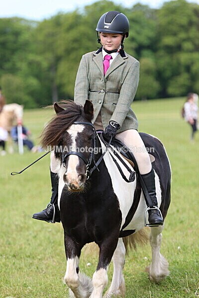 IMG_2376 - Working Hunter