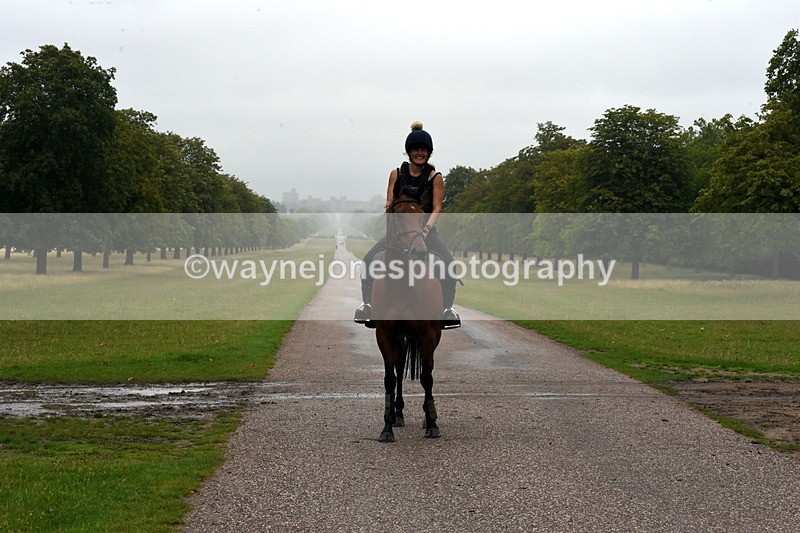 TT3_8337 - Time at Crossing 10:16 to 11:38