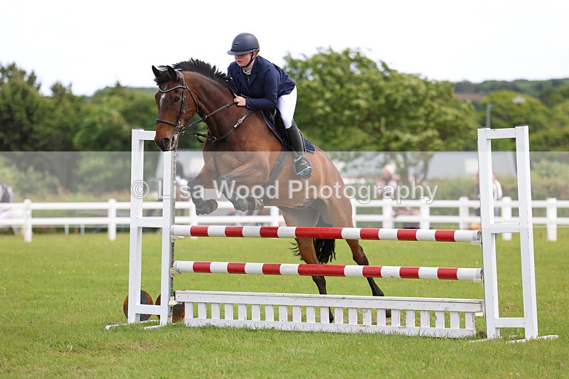 3E7A7767 - Class 13: Senior British Novice/90cm open