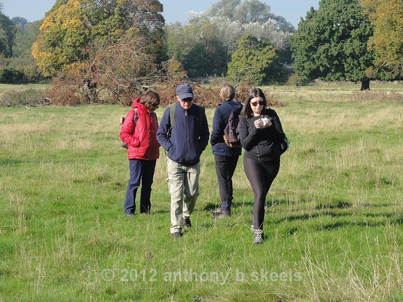 096 Seeking the true path - York Minster Walkers Collection 2024