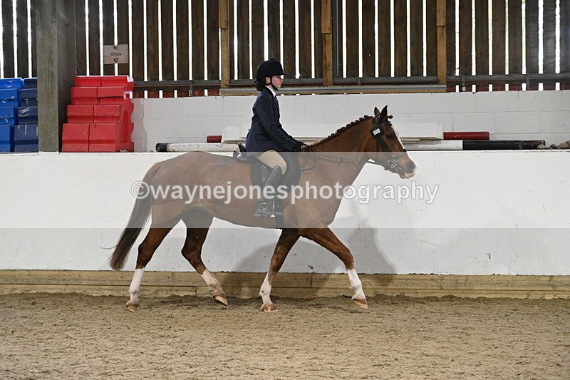 WJ7_4110 - Class 17 Ridden Cob