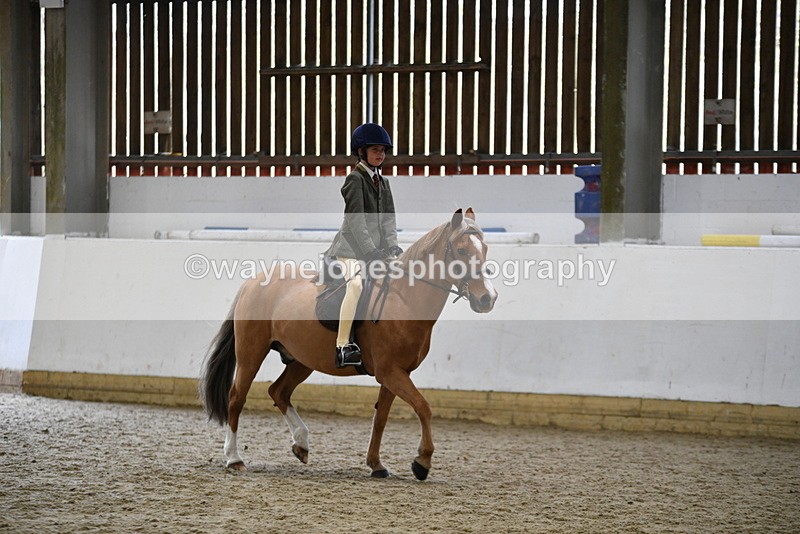 WJ5_6811 - Class 10 Childs Pony