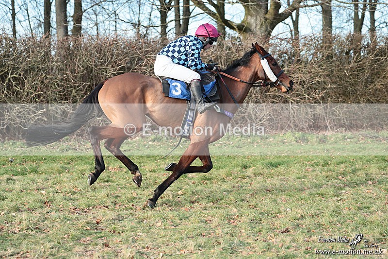 PtP 240126 589 - Cambridgeshire & Enfield Chase PtP Horseheath 24/01/26