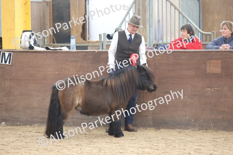 20251109-0433 - Championship