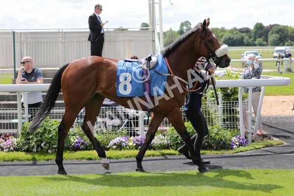 yr11062021r2-5 - Race 2 2.20pm Churchill Tyres Stakes