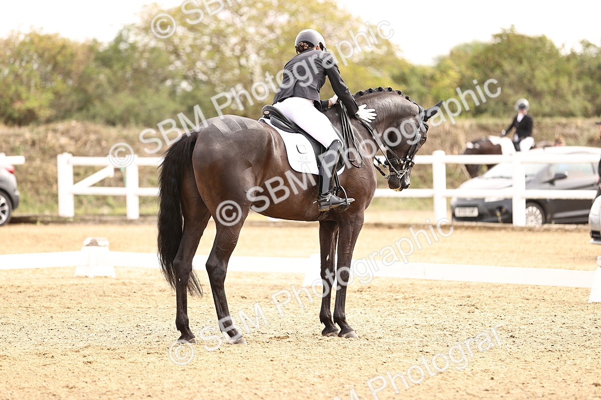 SBM_011639 - Class 1 - Medium 5