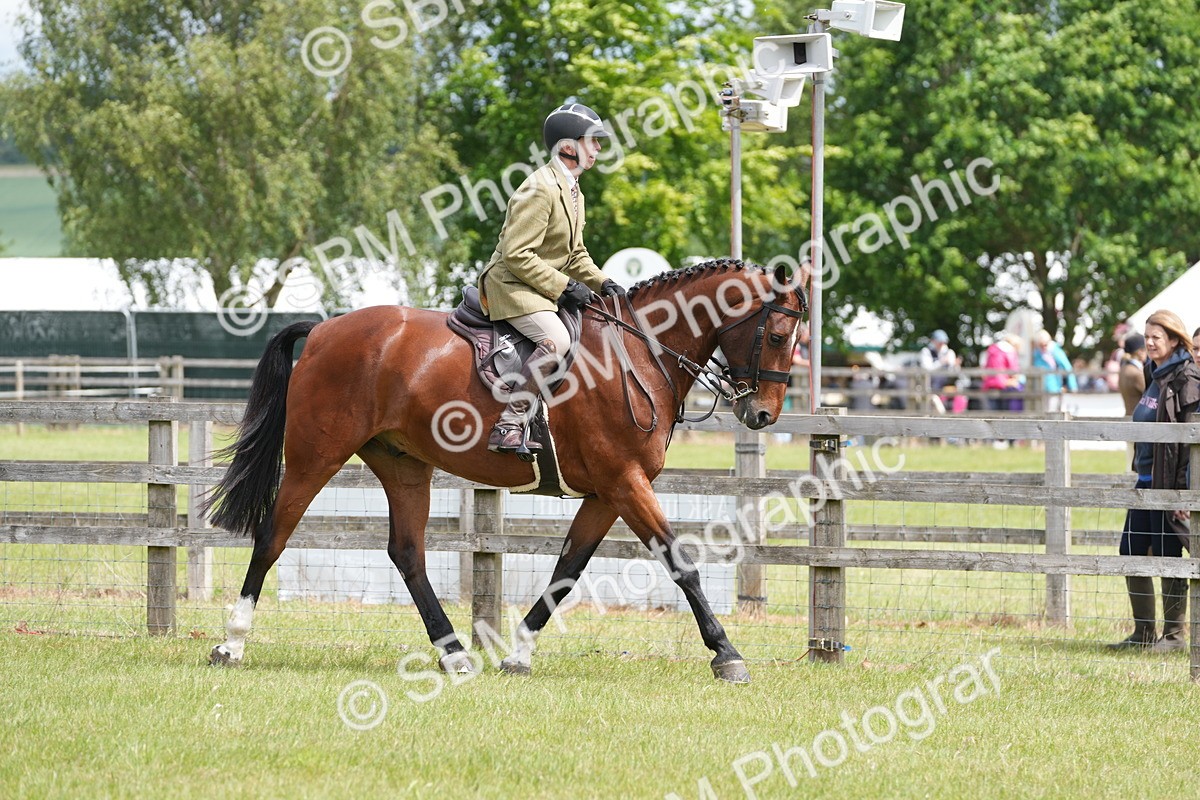 SBM_14997 - Class 100-102 - RIHS Working Hunter