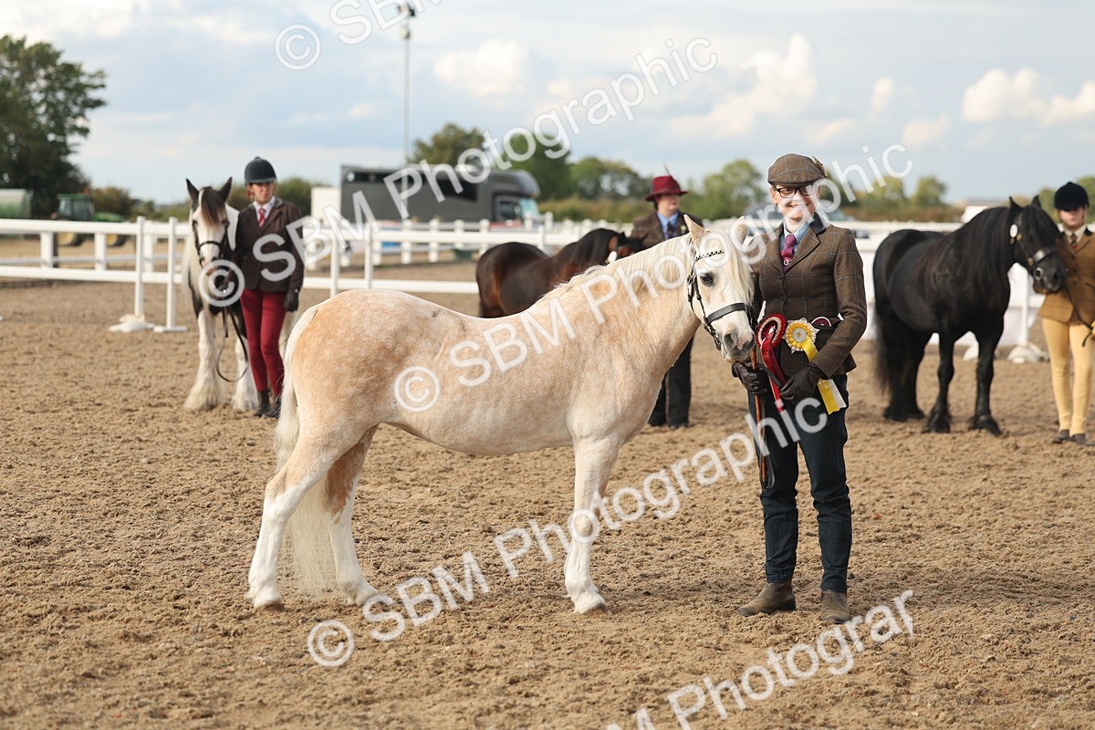 SBM_08581 - Class 29 - IH Veteran Pony