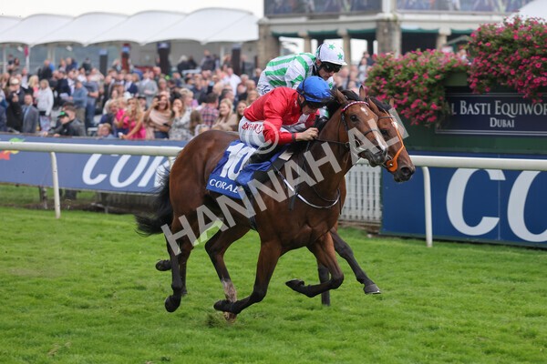 yr09102021r2-17 - Race 2 2.02pm Coral Beaten-By-A-Length Free Bet Rockingham Stakes