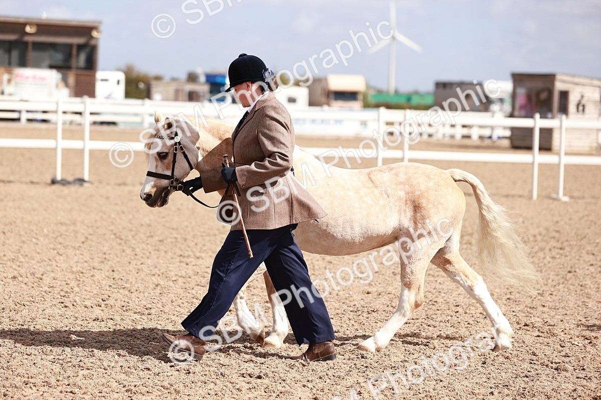 SBM_23005 - Class 707 - IH groom Helpers Class