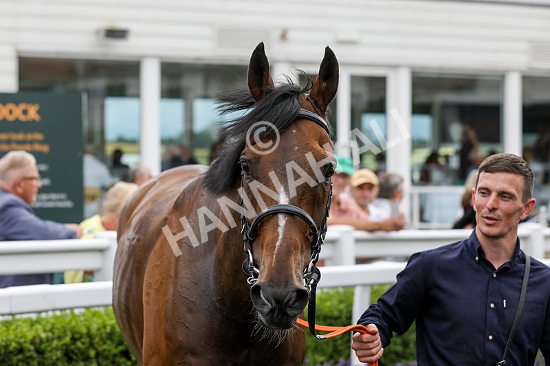 240724-Race 5-Furzig-3667 - Race 5