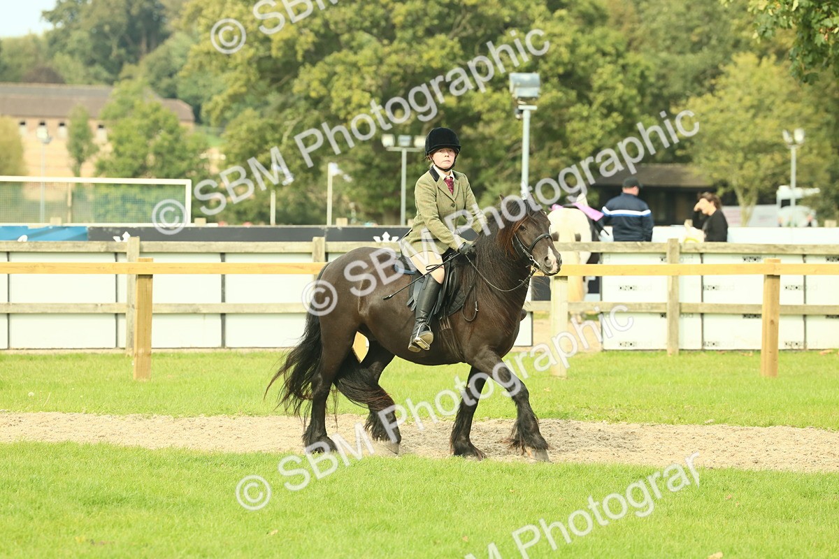 SBM_69349 - S58 - Mini Show Cob Ridden