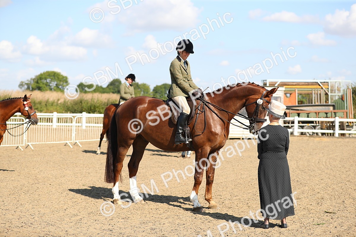 SBM_02331 - Class 43 Ridden Competition Horse/Pony