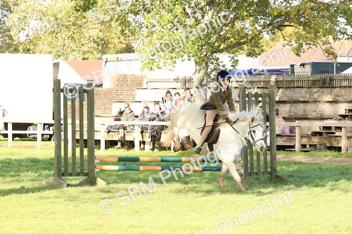 SBM_52598 - S13 - Pony Club Pony