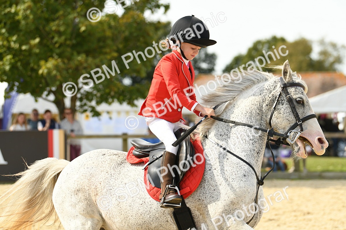 SBM_65124 - J48 - Pairs Jumping Open 70cm & 85cm