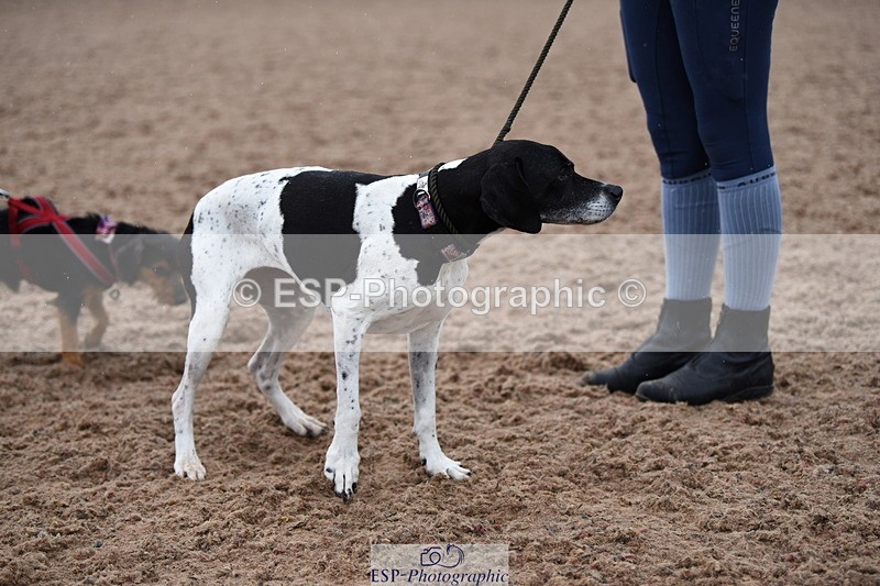 240518A-125942-01220 - Cls 6 Best Veteran