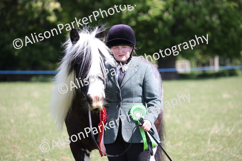 20250427-3017 - Class 27 - Coloured Horse and Pony