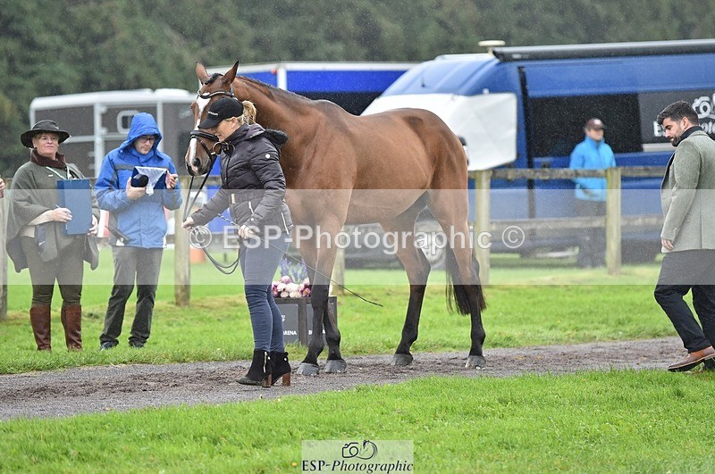 231018-122500-00273 - 034-COOLEY.PARK.MUZE-Gemma.Stevens-TrotUp