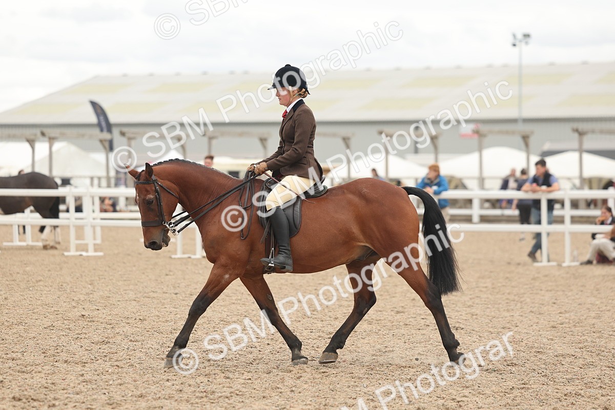 SBM_19146 - Class 316 - Best Pony-Rider Combination