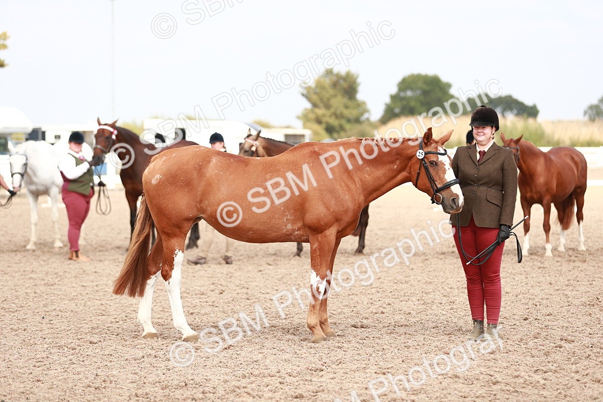 SBM_13286 - Class 208 IH Veteran Horse