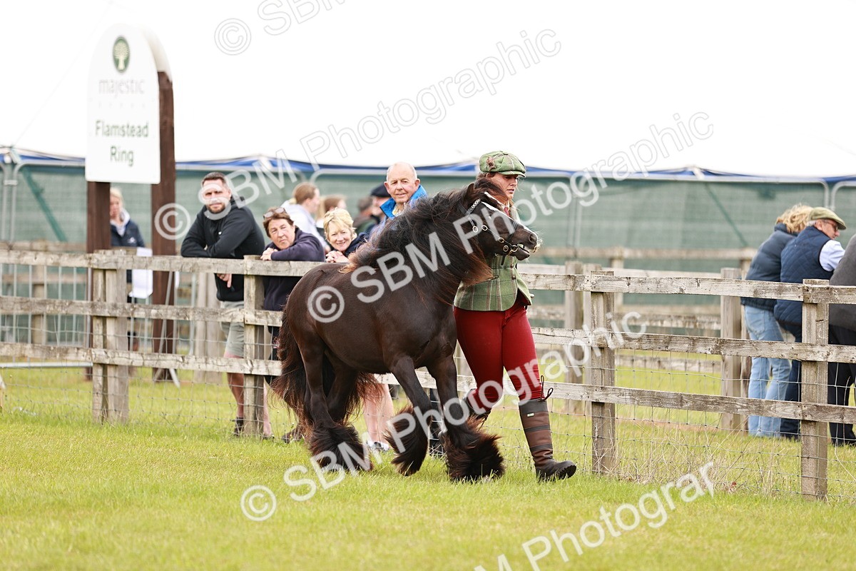 SBM_05963 - Class 39-41 TGCA In Hand and Ridden