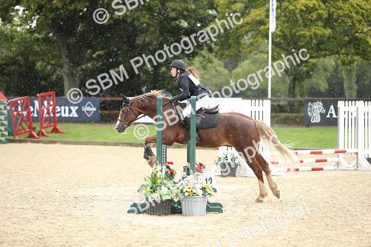 SBM_34455 - J60 Clear Round 50cm