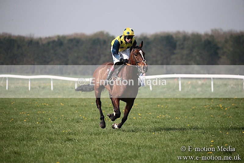 PtP 210418 445 - South & West Wilts Point-to-Point Larkhill 21/04/18